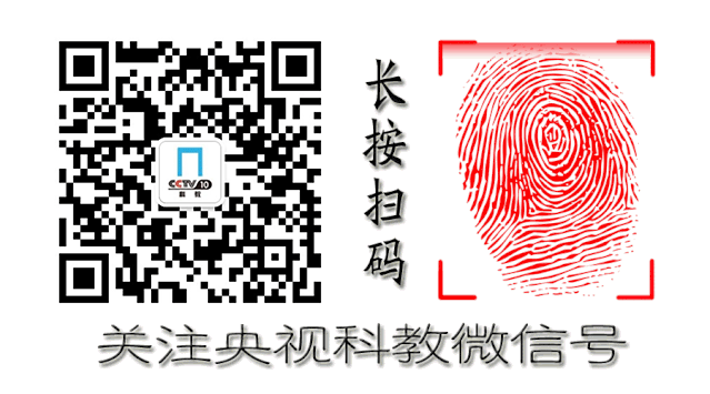 虚拟现实技术能有多逼真？