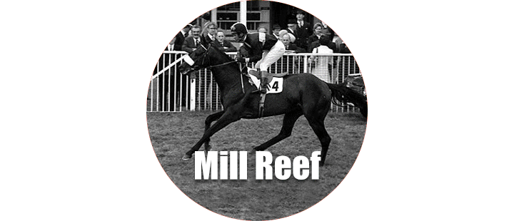 看数字说故事 法国凯旋门大赛 自由微信 Freewechat