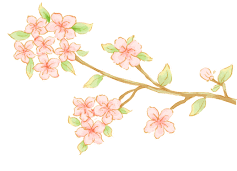 花_compressed.gif