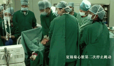 张庭为什么不能生育_生二胎能享受生育险吗_检查自己能不能生育