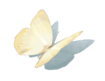 



妙趣横生的济州岛寻色之旅，被橘子味填满的治愈岛
