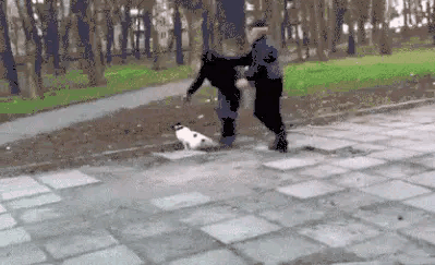 全网所有网络项目总结！（深度干货，建议收藏）(图18)