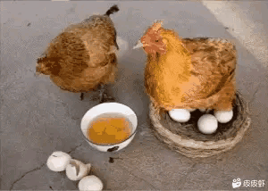 全网所有网络项目总结！（深度干货，建议收藏）(图10)