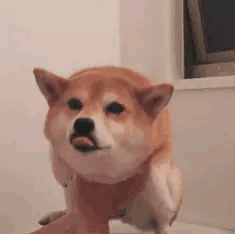 全网所有网络项目总结！（深度干货，建议收藏）(图4)