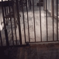 全网所有网络项目总结！（深度干货，建议收藏）(图7)