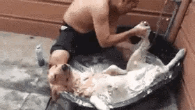 全网所有网络项目总结！（深度干货，建议收藏）(图3)