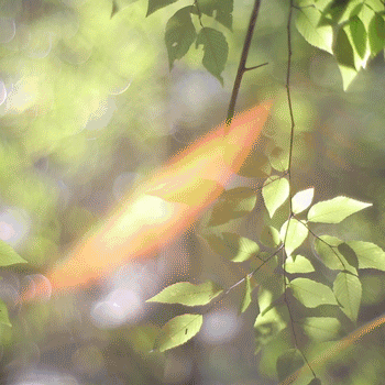 [ 愿你如阳光，明媚不忧伤 ]_LOMO_POCO摄影,色彩,gif,生活,lomo,清新