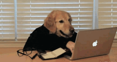 ���д��һƪС˵��