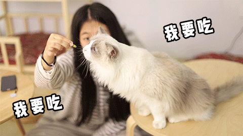 我要吃我要吃2.gif