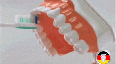 刷牙刷不對，笑容不美麗！ 健康 第5張