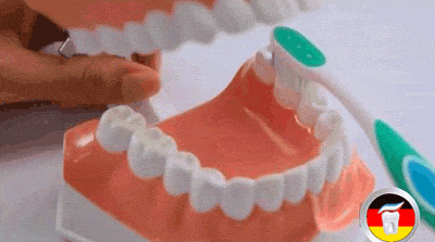 刷牙刷不對，笑容不美麗！ 健康 第6張