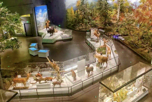 审批通过！“半个娱乐圈”都来成都了插图4