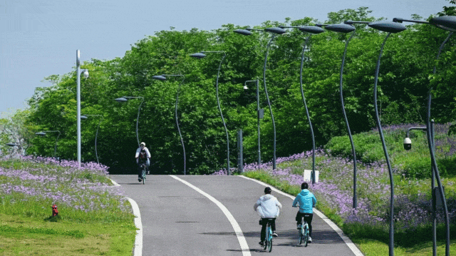 原来“浪浪山”目的地就在成都！插图6