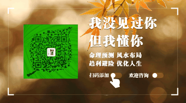 家里有壁虎_壁虎家里有壁虎怎么办_壁虎家里有壁虎是因为什么