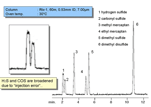 實(shí)用科普丨GC故障排除-最先洗脫化合物峰是分叉峰或?qū)挿? style=