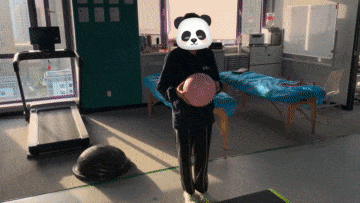 为什么会有单关节器械【前叉术后】康复器械的选择与训练技巧！别再做无效康复了！_https://www.jmylbn.com_新闻资讯_第10张