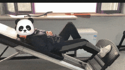 为什么会有单关节器械【前叉术后】康复器械的选择与训练技巧！别再做无效康复了！_https://www.jmylbn.com_新闻资讯_第8张