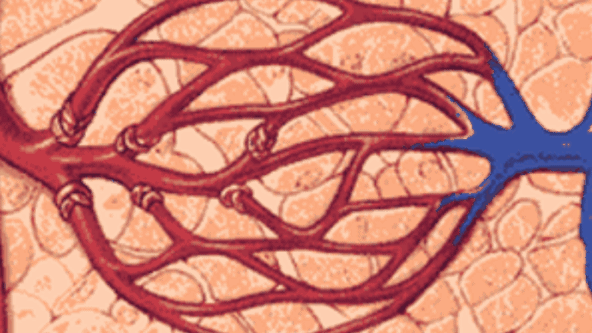促愈凝胶怎么排出「DR.ROTUS卡波姆痔疮凝胶」消肿止痛，止血止痒，促进愈合_https://www.jmylbn.com_新闻资讯_第48张