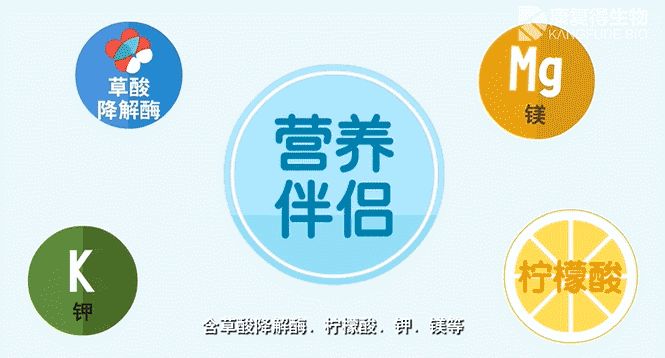 肾结石防治科普视频-最全的都在这里了!(珍藏版) 肾结石防治科普视频-最全的都在这里了!(珍藏版)