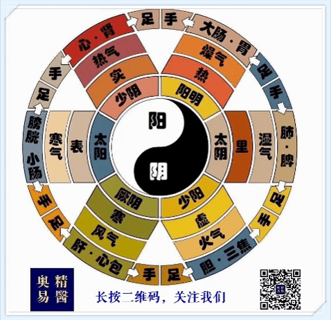 熬药袋怎么用熬药技巧和熬药汤桶的推荐尺寸_https://www.jmylbn.com_新闻资讯_第8张