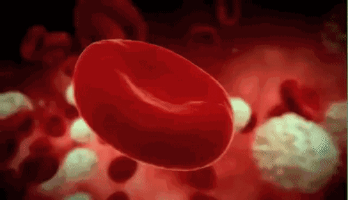 什么红外线理疗好远红外理疗法你关心的问题都在这里！_https://www.jmylbn.com_新闻资讯_第6张