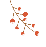 激光疗法有什么作用【五里微课堂】一束神奇的光，治愈身体的魔法_https://www.jmylbn.com_新闻资讯_第4张