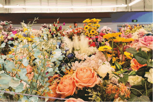 【春城秀】昆明经典旅游攻略，一篇带你玩转春城美景!