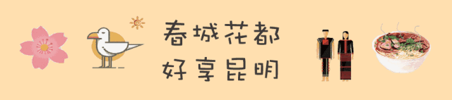 昆明市文化和旅游局纪检组赴我所调研
