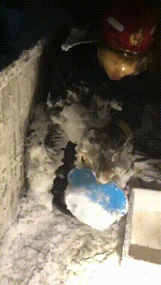 吉林一猫咪被卡在吊顶上,装修工人破顶救猫…-微信头条网 吉林一猫咪被卡在吊顶上,装修工人破顶救猫…