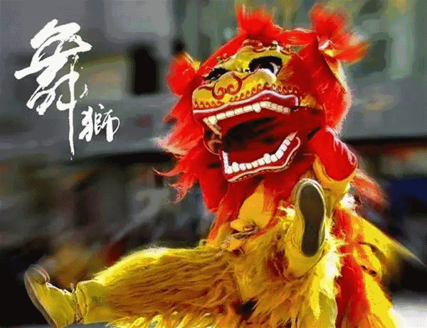 真喜庆!小柴犬自创“舞狮”动作,太可爱啦!~-微信头条网 真喜庆!小柴犬自创“舞狮”动作,太可爱啦!~