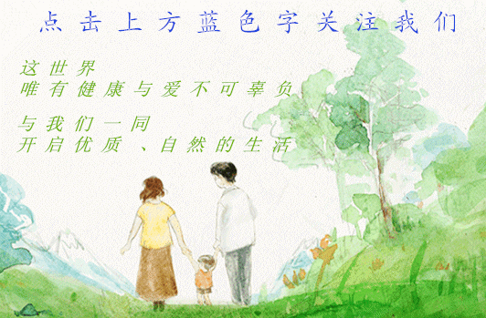 脱发、失眠、妇科病缠身、头痛、腰痛、胃病——通过4个月的食疗，现在情况如何