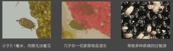 抗菌剂|防霉剂|干燥剂|防水剂