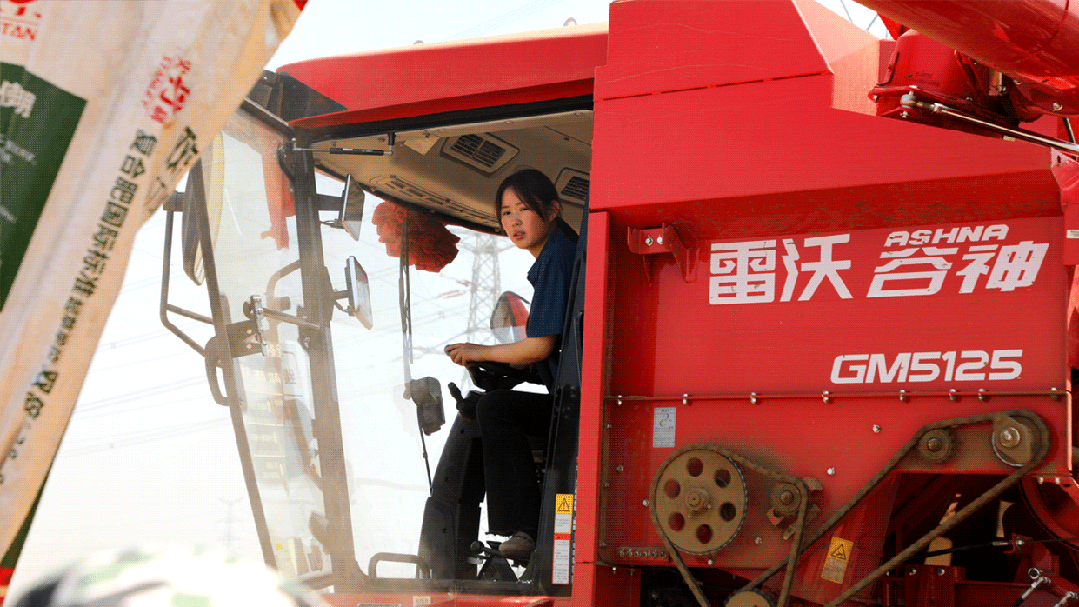 动图.gif