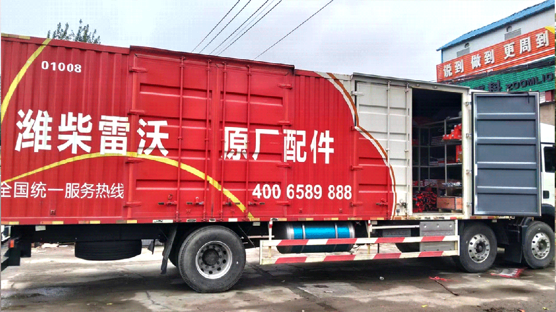 动图.gif