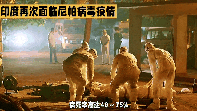 金日光教授：如何应对在印度爆发的尼帕病毒？(图1)
