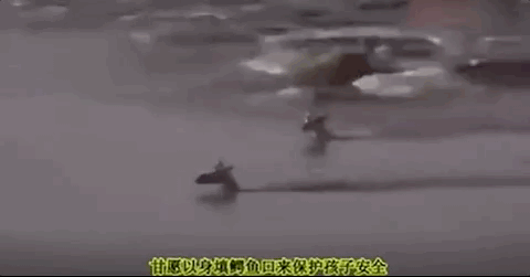3岁女童被妈妈饿死，亲爸直播狂扇婴儿巴掌：你永远不知道，孩子到底有多爱你！