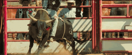 10ԪţϡйרȨߣһ⣬Ҫǡ