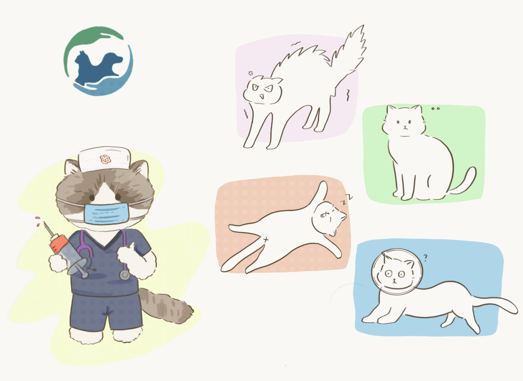 动物怎么麻醉麻醉时，毛孩子是怎么“睡着”又“醒来”的？_https://www.jmylbn.com_新闻资讯_第1张