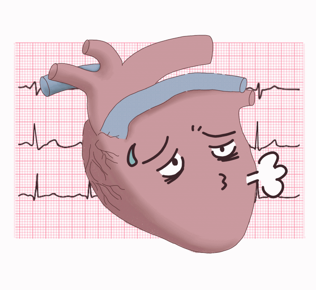 动物怎么麻醉麻醉时，毛孩子是怎么“睡着”又“醒来”的？_https://www.jmylbn.com_新闻资讯_第3张