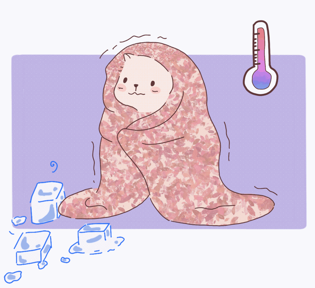 动物怎么麻醉麻醉时，毛孩子是怎么“睡着”又“醒来”的？_https://www.jmylbn.com_新闻资讯_第5张