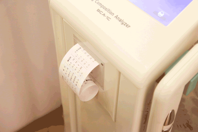 瘦身計劃方案_4816營養瘦身方案_瘦身方案