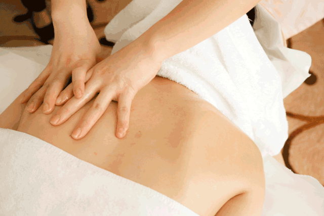 瘦身方案_瘦身計劃方案_4816營養瘦身方案