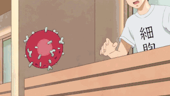 �ư��ˣ��������û�����廪�����Ԫ��