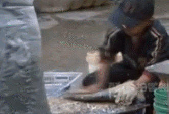 �����к����綾��ɱ�������º���������ĸ����