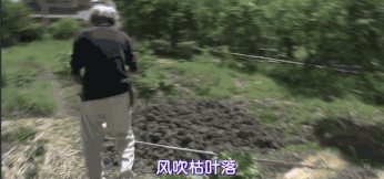 �ֱ�����Ƭ�õ�����������Ů���ѣ�����87�ꡱ