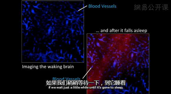 �����й��˵ġ���Ს�����ڰ�ҹ͵��