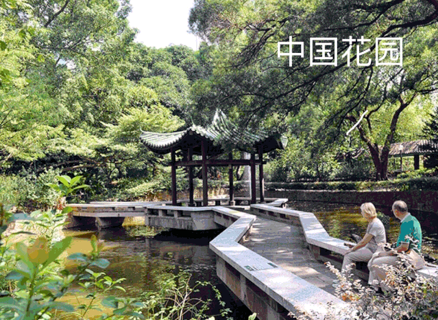 闹中取静 一片城市绿洲就隐藏在旺角弥敦道 远东发展 微信公众号文章阅读 Wemp