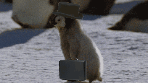 500_281gif 动态图 动图
