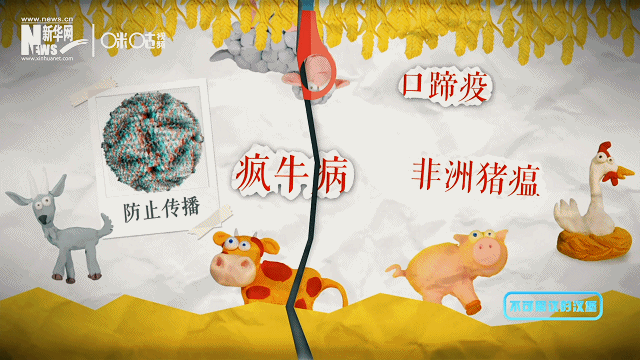 %name 《新华网》给予替代蛋白肉正面评价：“比动物肉更安全更健康”，发布科普视频