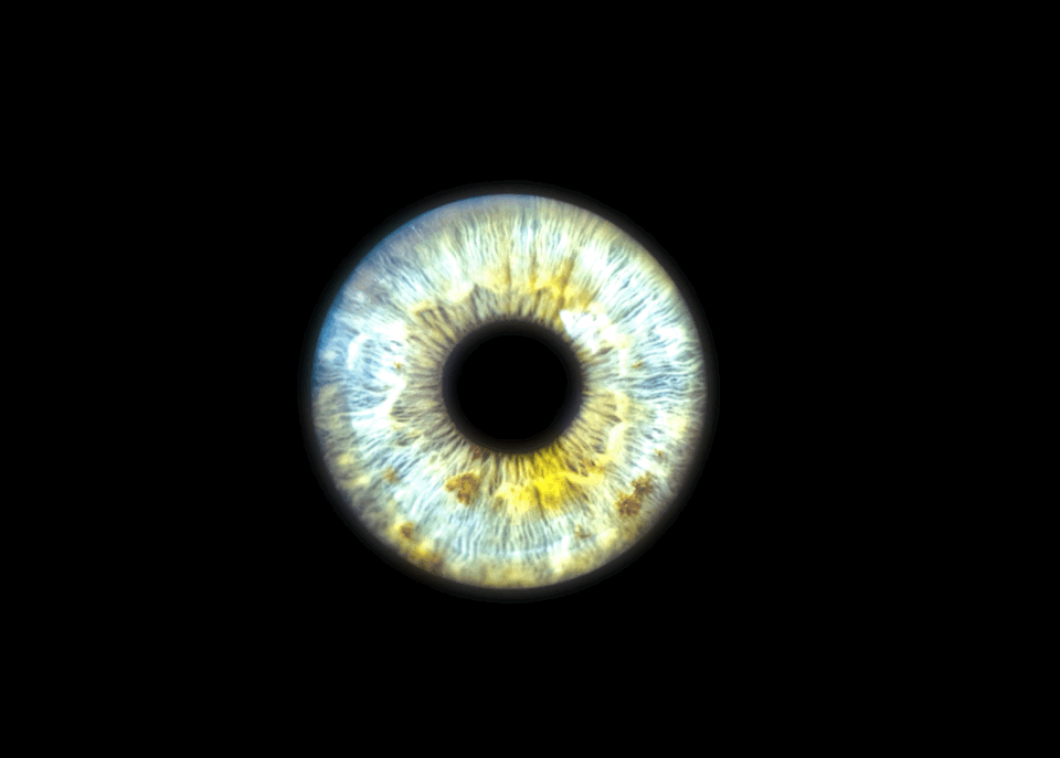 与指纹一样,每只眼睛和瞳孔都是独一无二的,形成每个人独有的视觉状态
